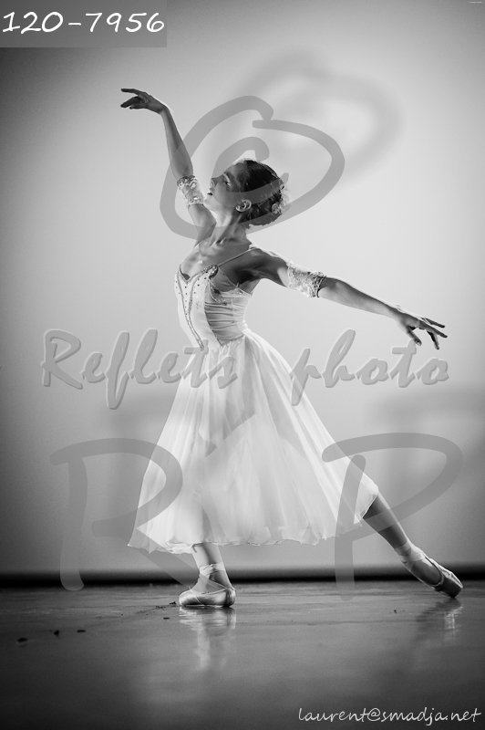 Photos les ARTS EN SCENE 2012 Photos les ARTS EN SCENE 2012