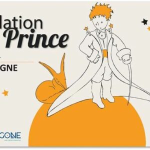 Constellation Petit Prince Constellation Petit Prince